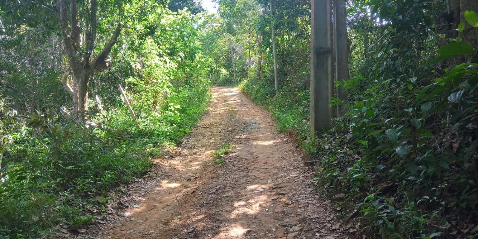 Villa Casa Sossego Da Mata Itacaré Esterno foto